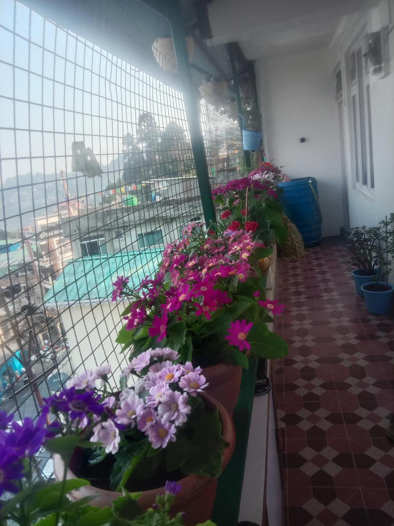 Beverly Hills Home Stay 大吉岭 外观 照片